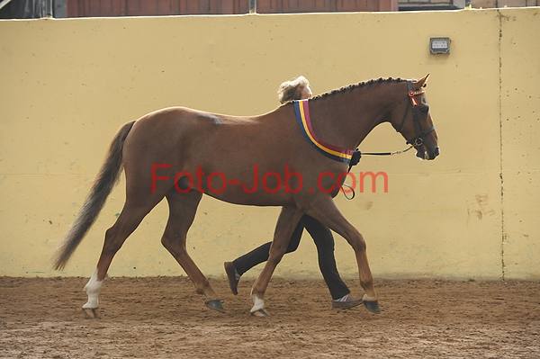 Preview 14_CF3_2129.jpg